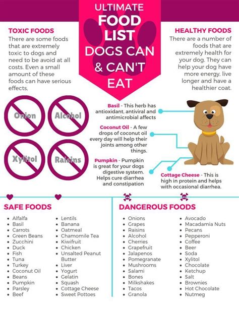 List of Food Dogs Can (and Can't) Eat, According to Vet.